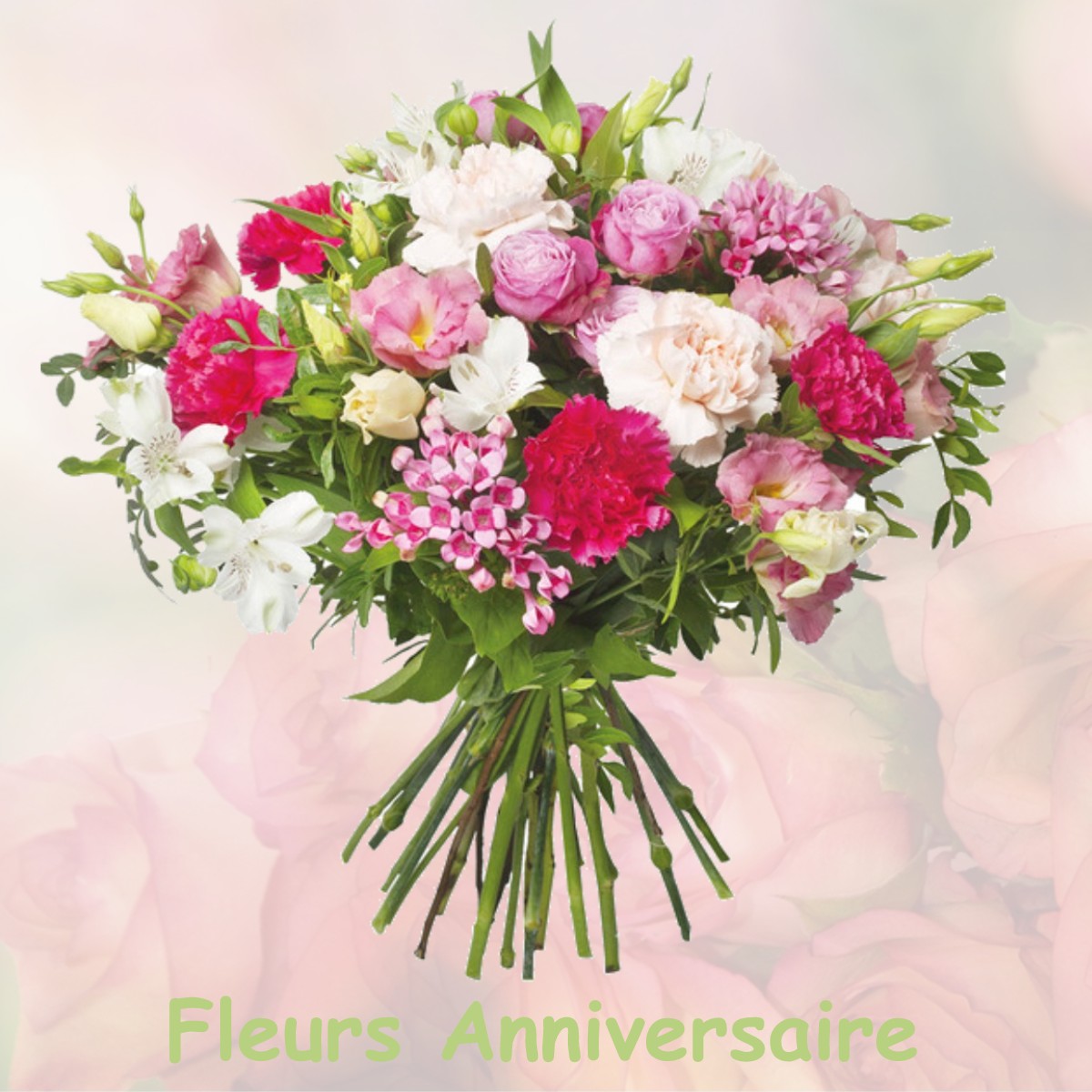 fleurs anniversaire ROLLEBOISE